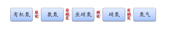 废水处理如何控制总氮超标